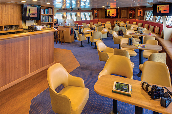 NG Sea Bird Gallery Image